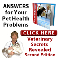 Veterinary Secrets Revealed